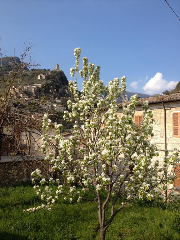 Il Borgo Agriturismo Ferentillo Exterior foto